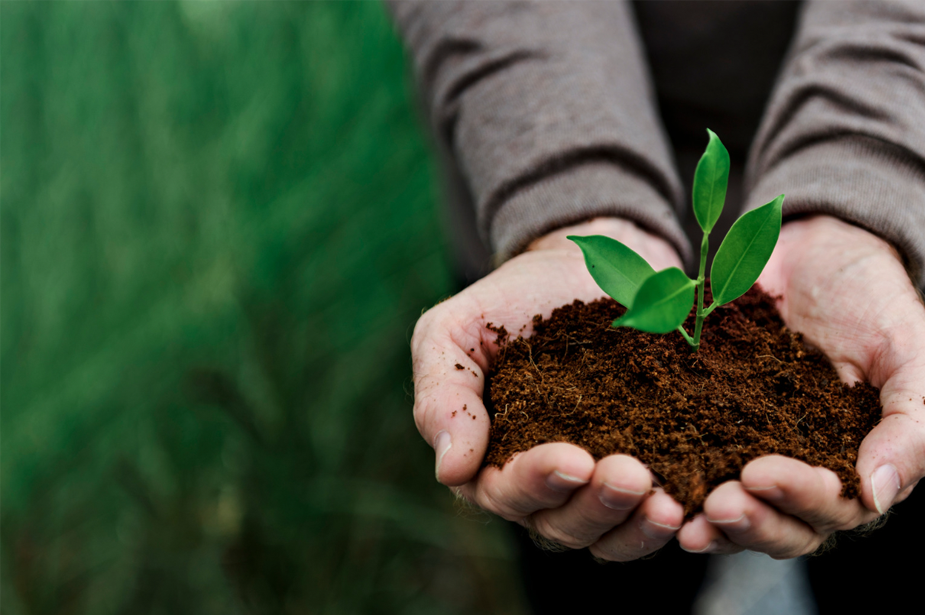 BLOG-beste-duurzame-cadeaus-collega