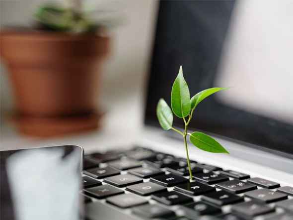 Duurzame geschenken plantje uit toetsenbord