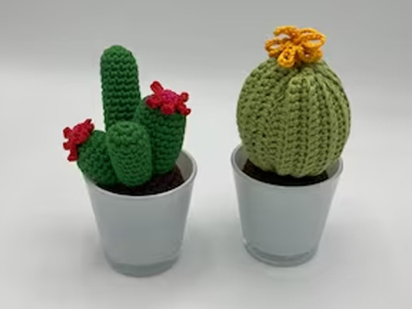 Grappige afscheidscadeautjes collega nep plant