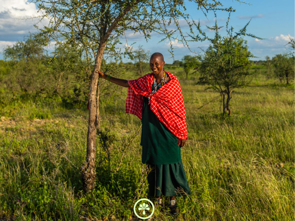 Sterkado_treebytree_maak-impact - Sterkado